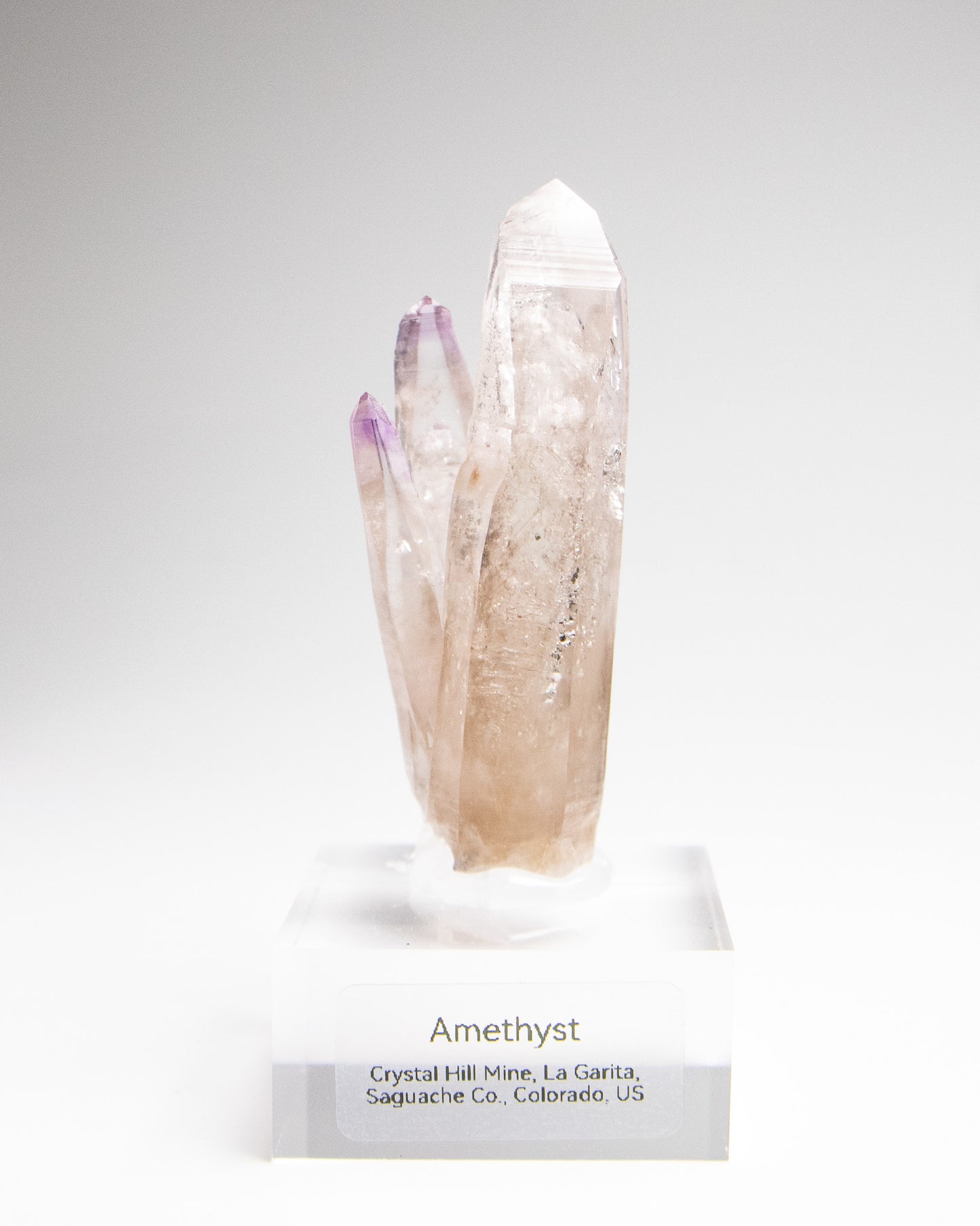 科羅拉多紫水晶｜稀有產區‧Crystal Hill高端礦物標本 Fine Amethyst specimen from Colorado