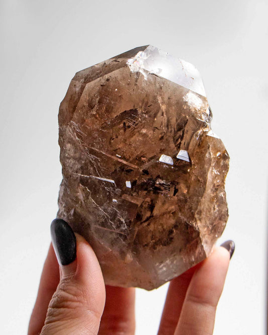 波士尼亞戰士煙晶｜療癒系漸層煙晶・自癒能量與穩定力量