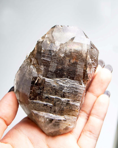 波士尼亞戰士煙晶｜療癒系漸層煙晶・自癒能量與穩定力量