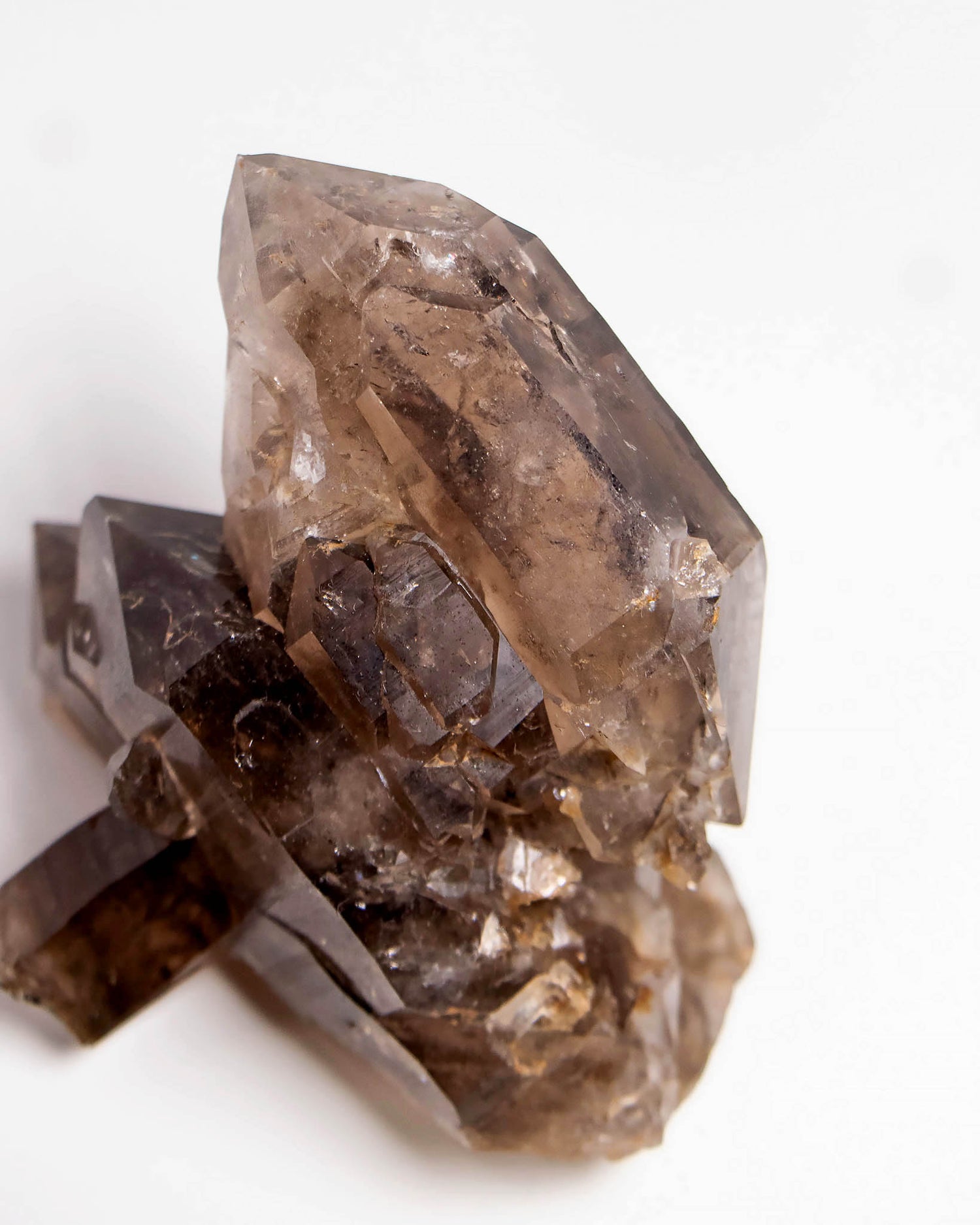 波士尼亞戰士煙晶｜療癒系漸層煙晶・自癒能量與穩定力量