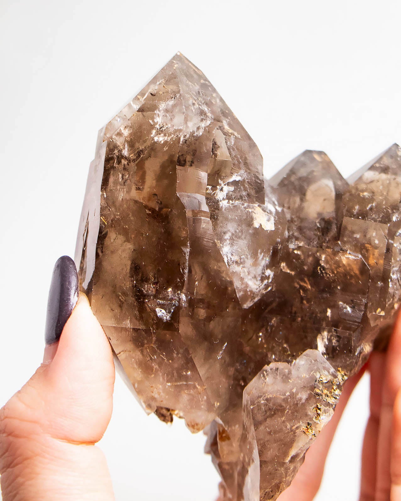 波士尼亞戰士煙晶｜療癒系漸層煙晶・自癒能量與穩定力量