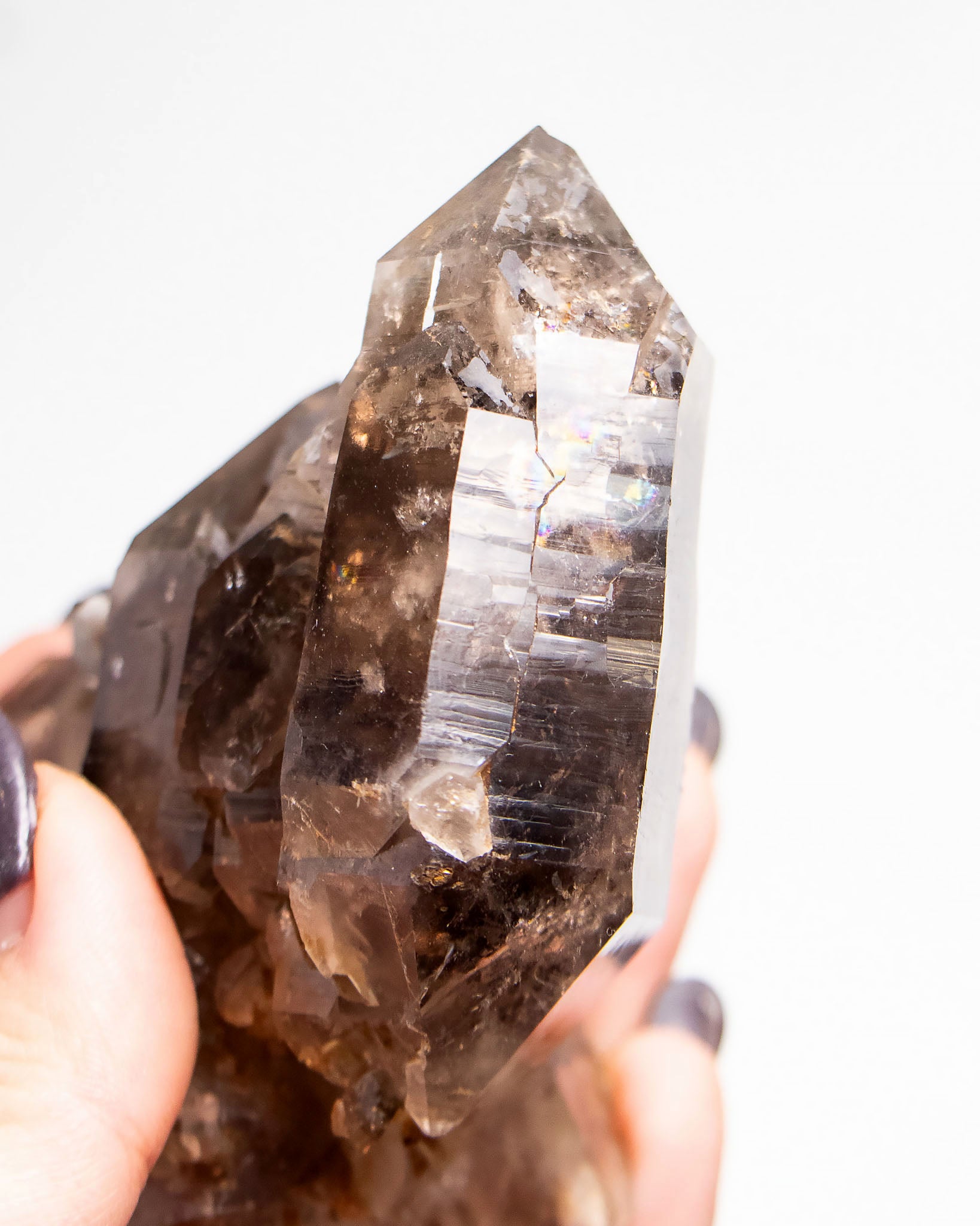 波士尼亞戰士煙晶｜療癒系漸層煙晶・自癒能量與穩定力量