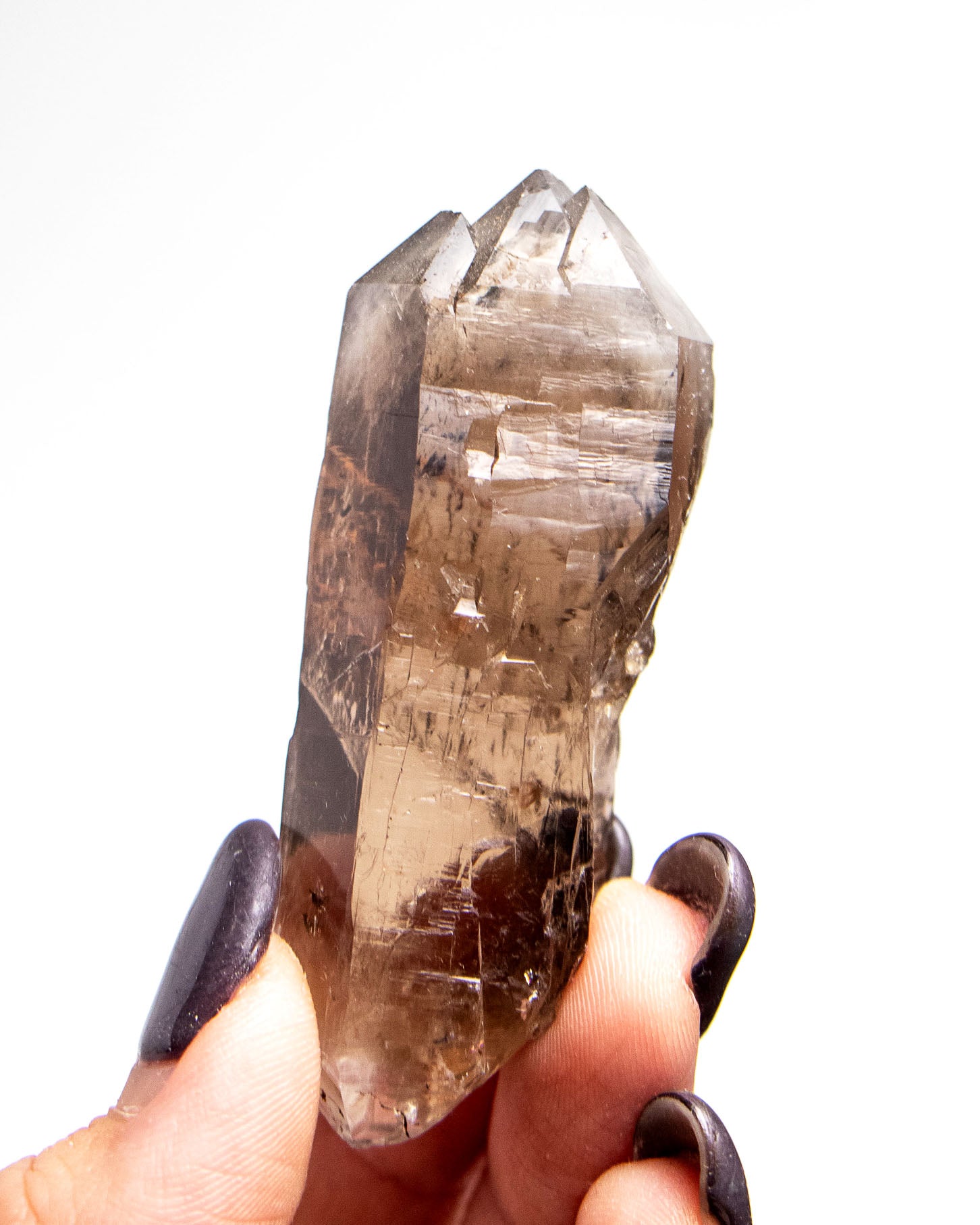 波士尼亞戰士煙晶｜療癒系漸層煙晶・自癒能量與穩定力量