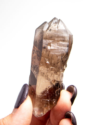 波士尼亞戰士煙晶｜療癒系漸層煙晶・自癒能量與穩定力量