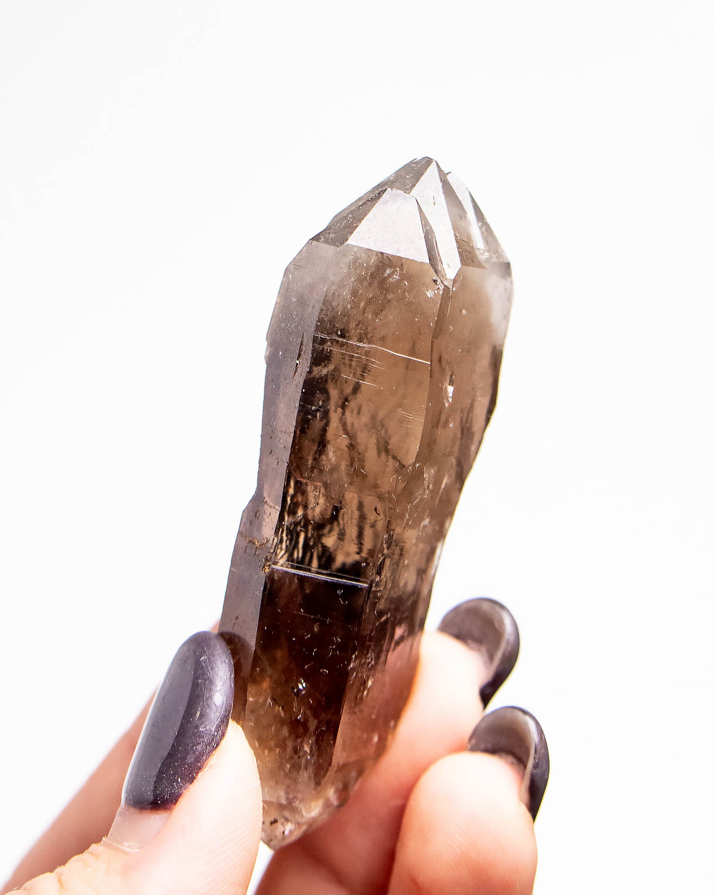 波士尼亞戰士煙晶｜療癒系漸層煙晶・自癒能量與穩定力量