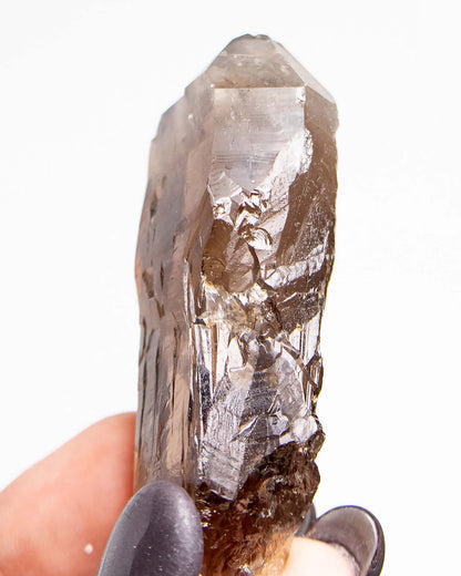 波士尼亞戰士煙晶｜療癒系漸層煙晶・自癒能量與穩定力量