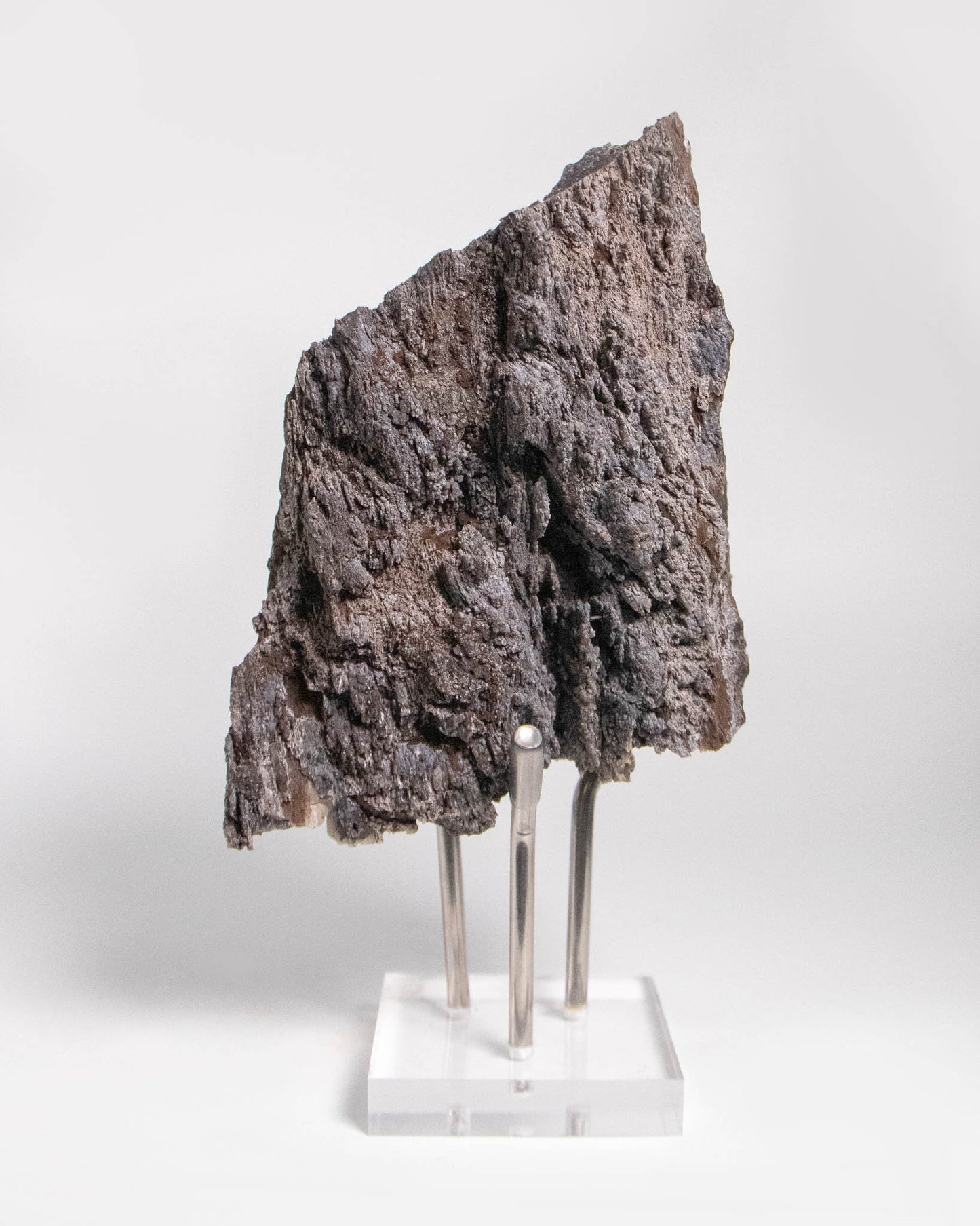 木質調居家擺飾義大利阿爾卑斯木化石