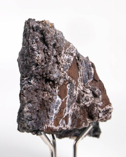 木質調居家擺飾義大利阿爾卑斯木化石