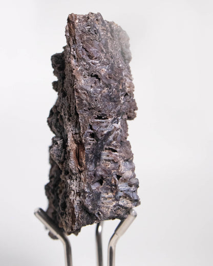 木質調居家擺飾義大利阿爾卑斯木化石